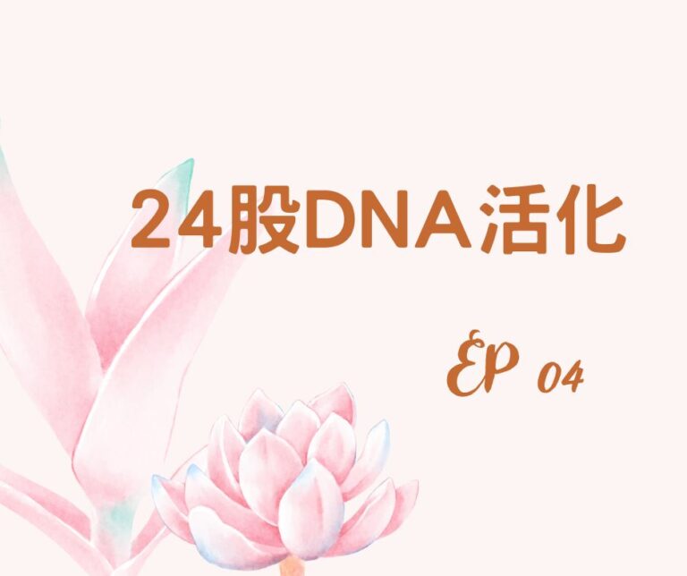 24股DNA活化