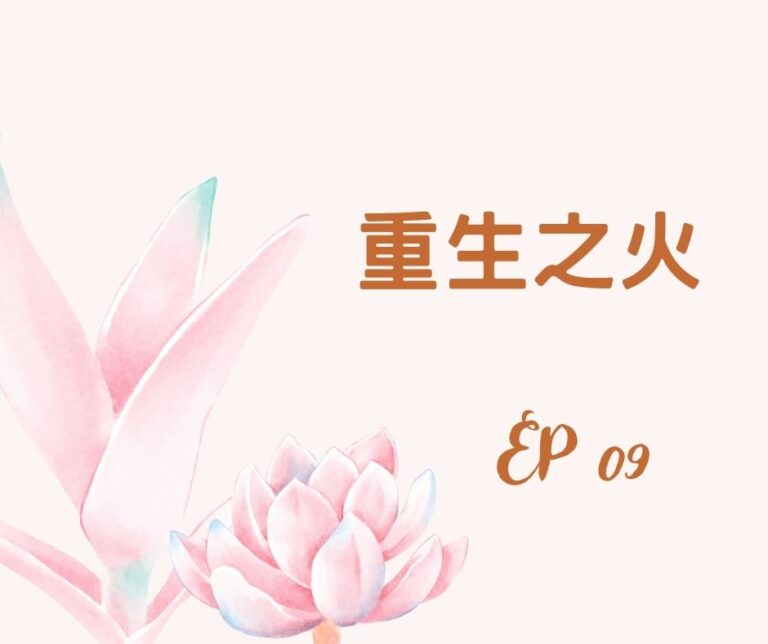 重生之火｜EP09