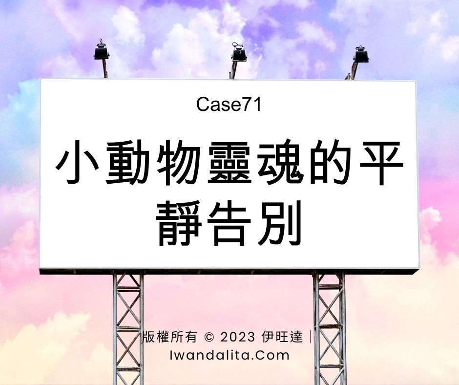 小動物靈魂的平靜告別｜Case71